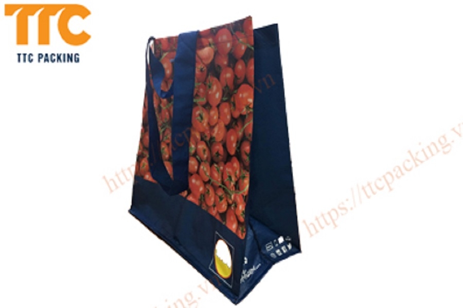 4 Lý do nên sử dụng túi Shopping bag