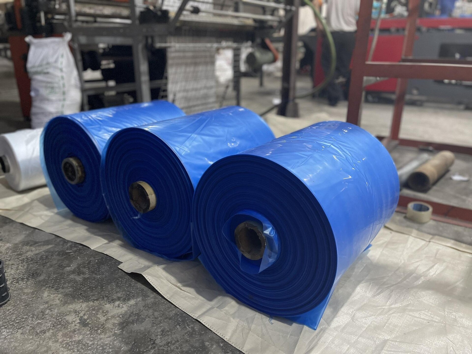 Sử dụng bao trùm chuối làm tăng tính thẩm mỹ và tăng năng suất hơn