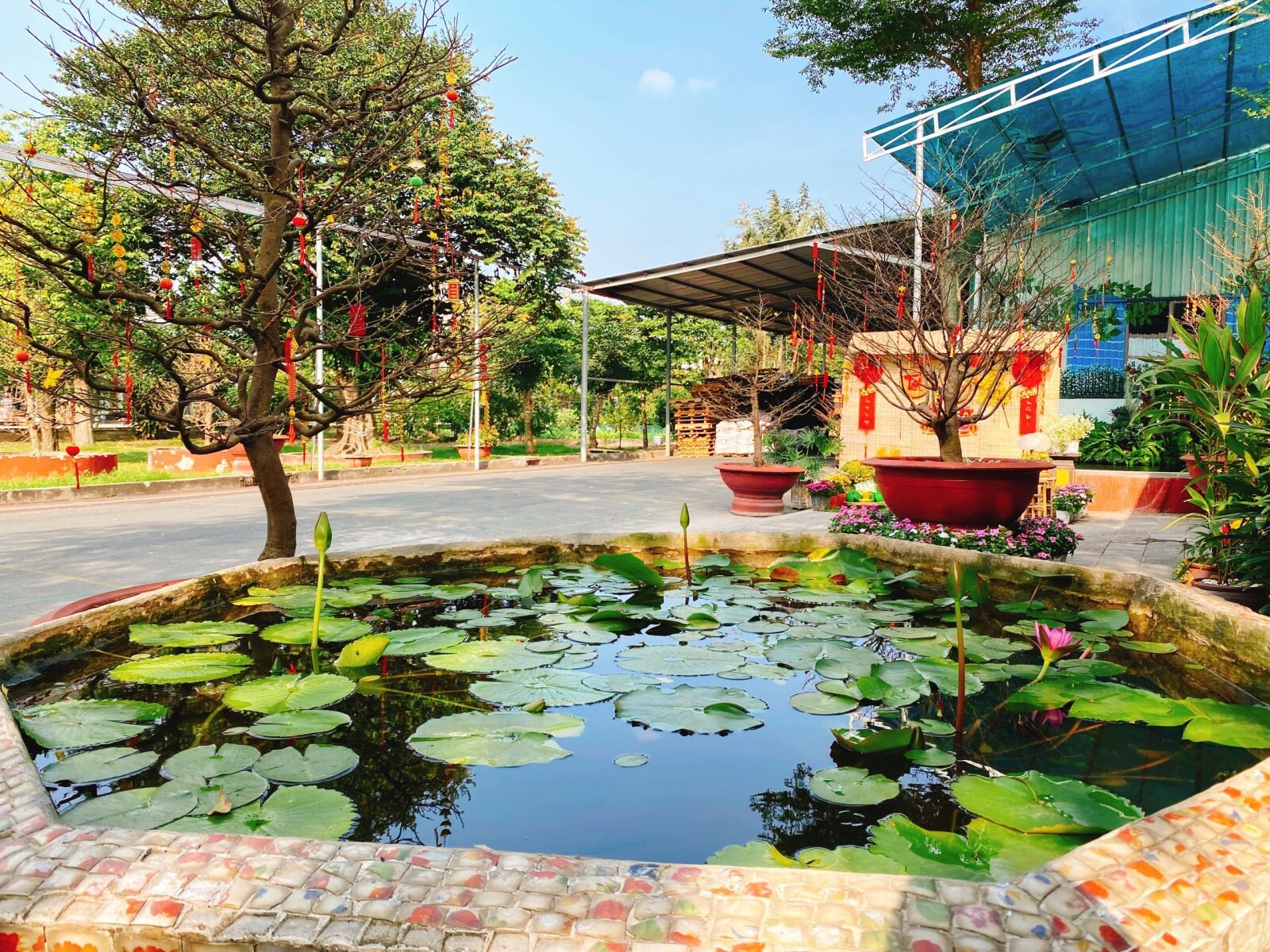 TTC Packing đón mừng năm mới du xuân