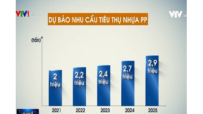Hiệp hội Nhựa: tăng thuế nhập khẩu từ 3% lên 6% sẽ 'hạ gục' doanh nghiệp