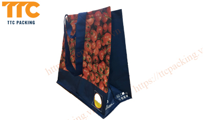 Reasons for using Shopping Bags