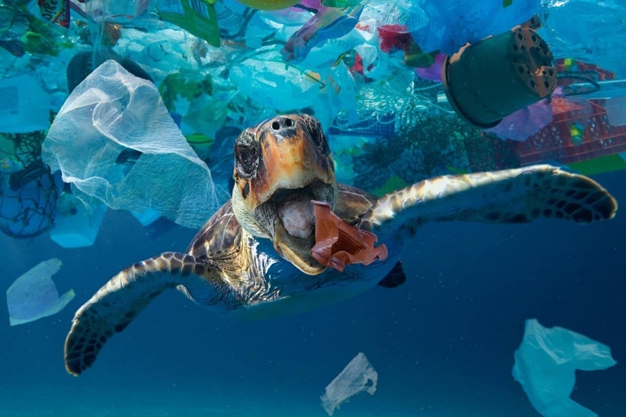 Major enterprises commit to eliminating plastic packaging waste by 2025