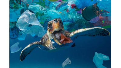 Major enterprises commit to eliminating plastic packaging waste by 2025